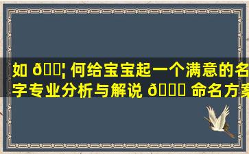 如 🐦 何给宝宝起一个满意的名字专业分析与解说 🐎 命名方案帮你解决！